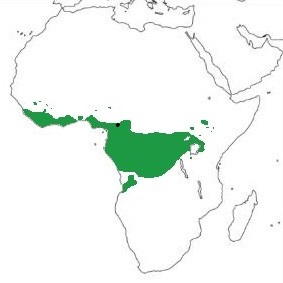 Map showing distribution of the species