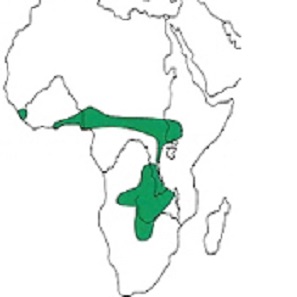 Map showing distribution of the species
