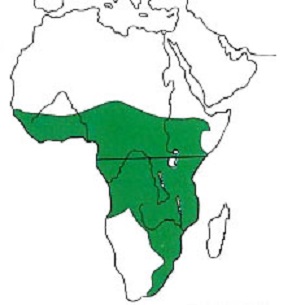 Map showing distribution of the species