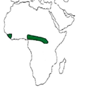 Map showing distribution of the species