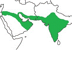 Map showing distribution of the species