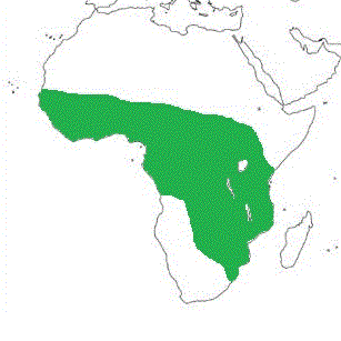 Map showing distribution of the species