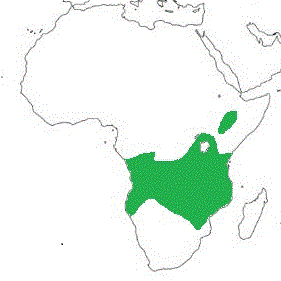 Map showing distribution of the species