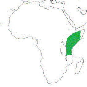 Map showing distribution of the species