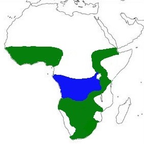 Map showing distribution of the species