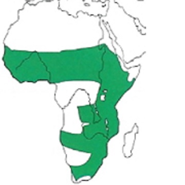 Map showing distribution of the species