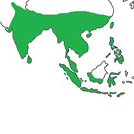 Map showing distribution of the species