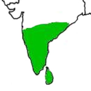 Map showing distribution of the species